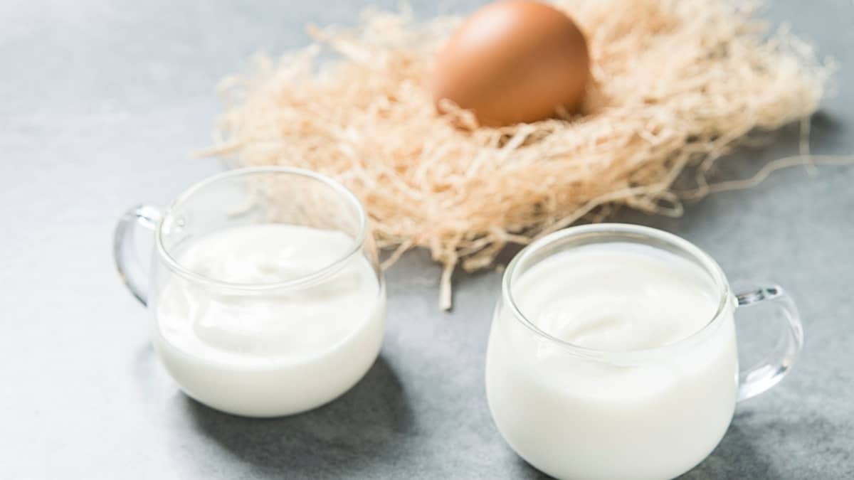 Yogurt As Egg Substitute